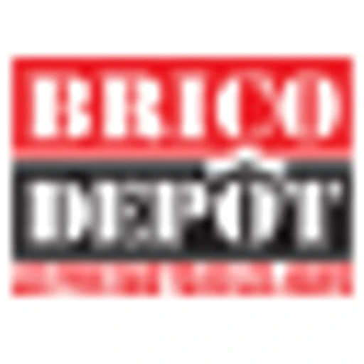 Logo Brico Dépôt